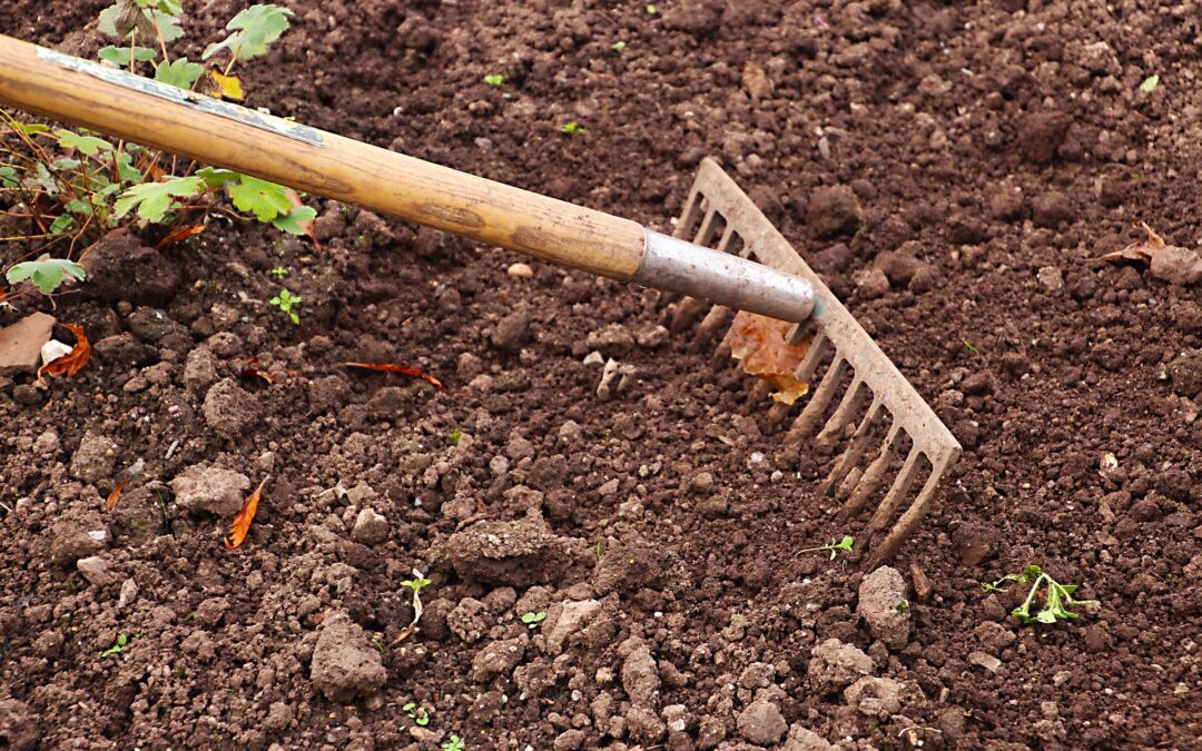 raking garden dirt