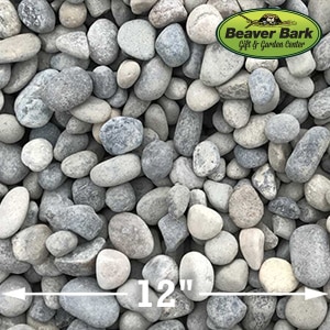 Medium River Rock